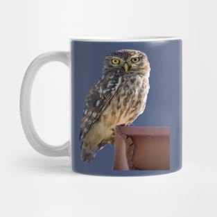 Beautiful Cute Barn Owl Staring With Wide Yellow Eyes Mug